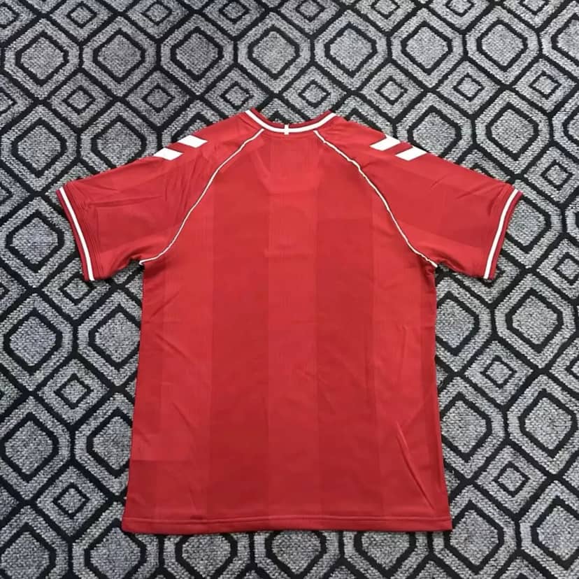 Camisola Dinamarca Principal 2026--1