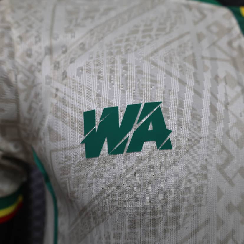Maillot Mali Domicile 2026/27 Version Player--4