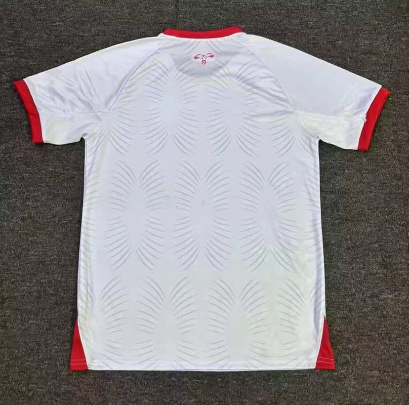 Koszulka Jordanii domowa 2024--1