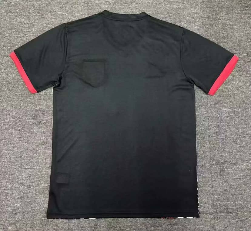 Camisola Japão Edição Especial «Long sword warrior» 2025--1