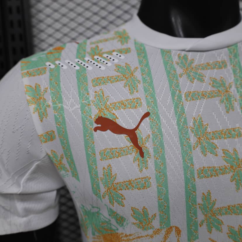 Maillot Côte d'Ivoire Extérieur 2026 Version Player--3