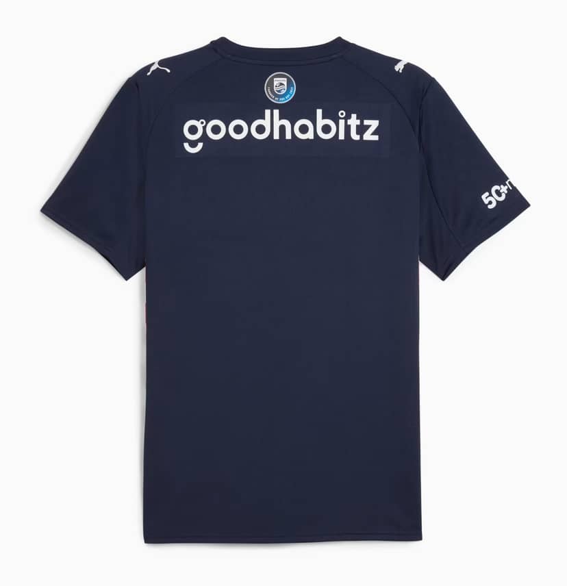 Camisola PSV Eindhoven Alternativa 2025/26--1