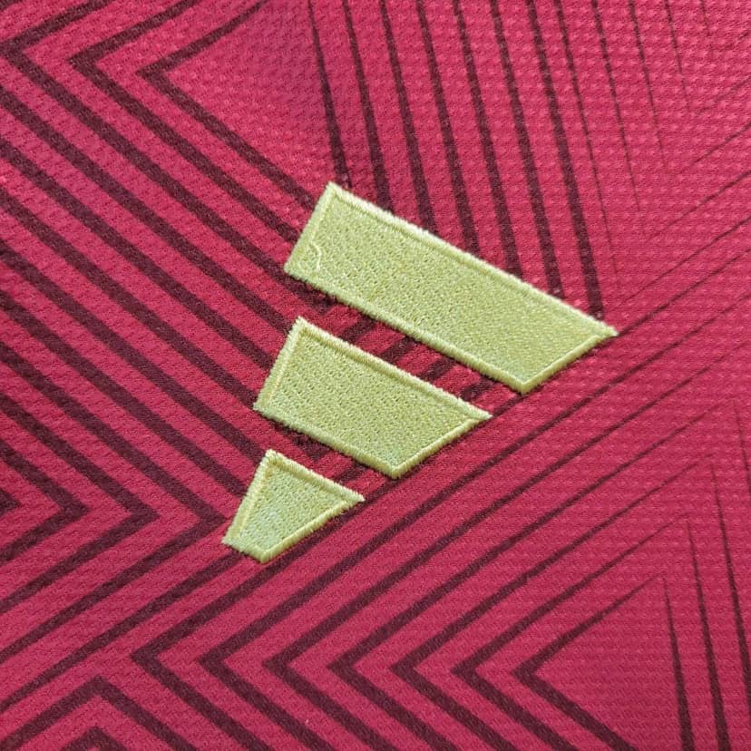 Maglia Venezuela Home 2026--4