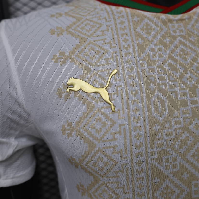 Maglia Marocco Away 2026 Player Version--4