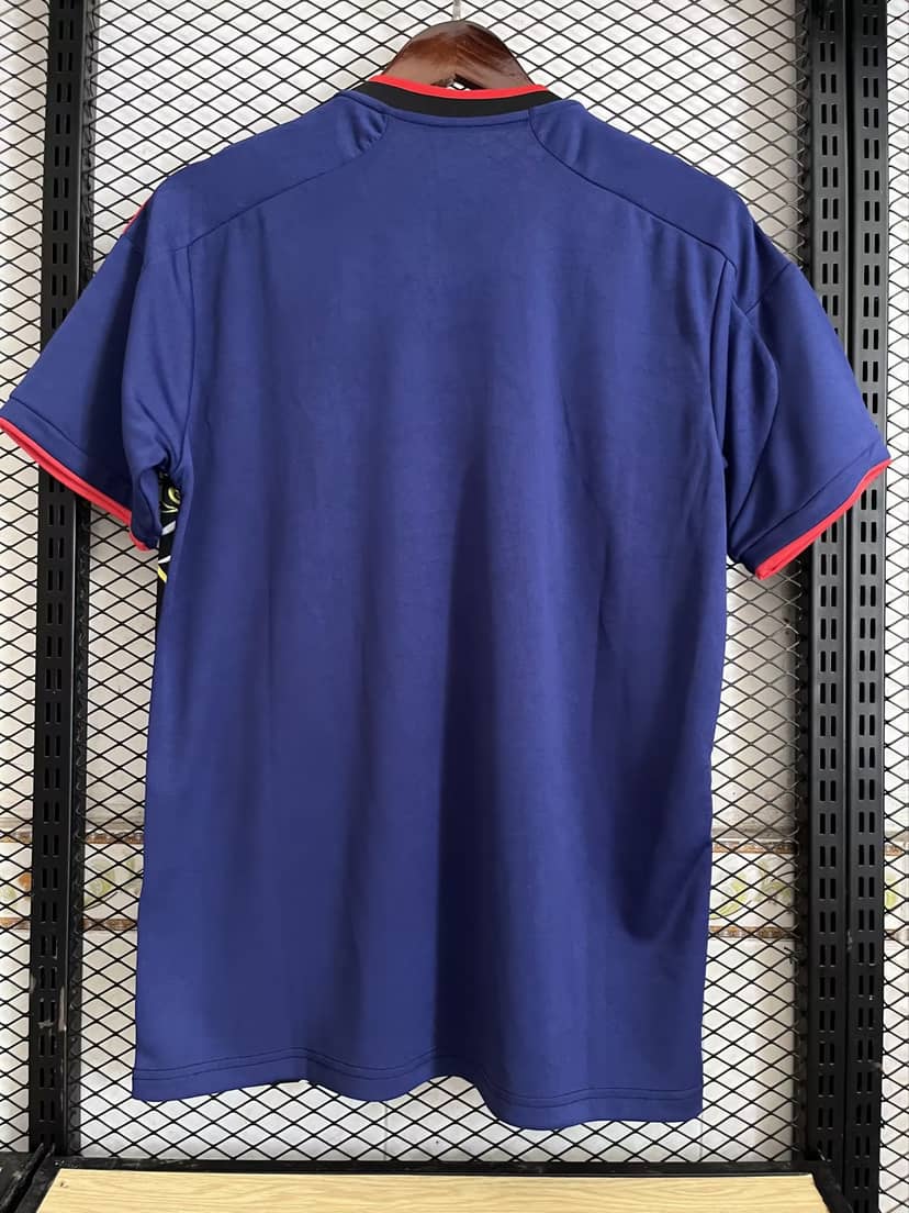 Camiseta Japón Edición Especial 2023--1
