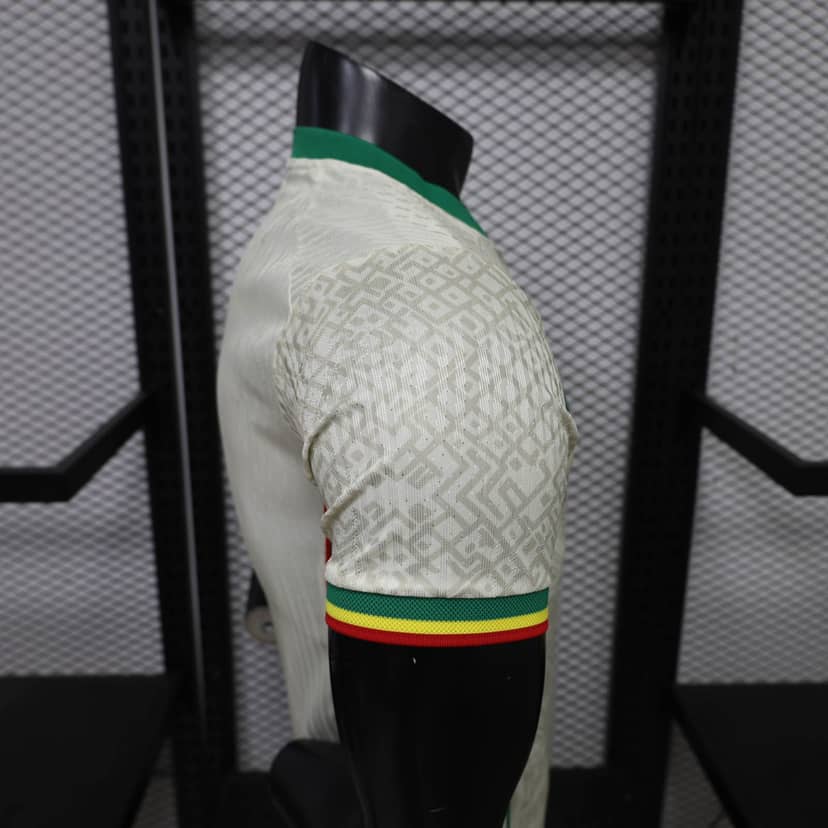 Maillot Mali Domicile 2026/27 Version Player--6