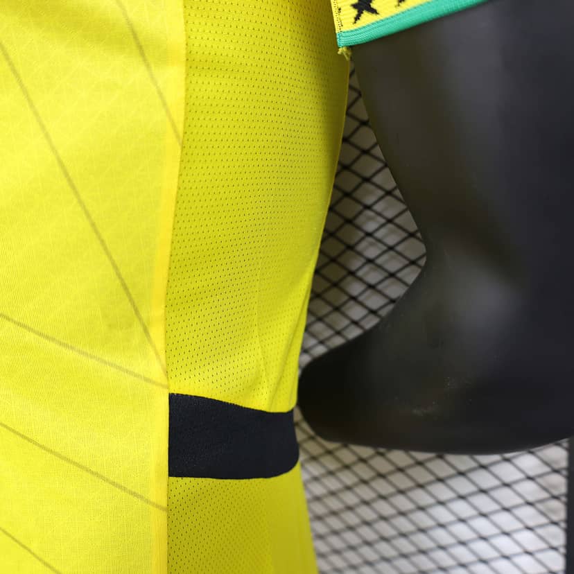 Camisola Ghana Alternativa 2024/25 Versão Jogador--7