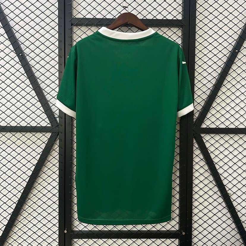 Maglia Palmeiras Home 2025/26--1